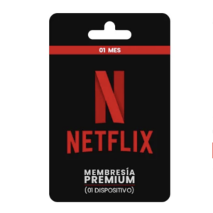 NETFLIX 1 PERFIL