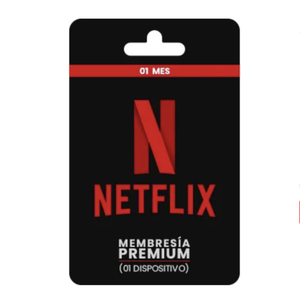 NETFLIX 1 PERFIL